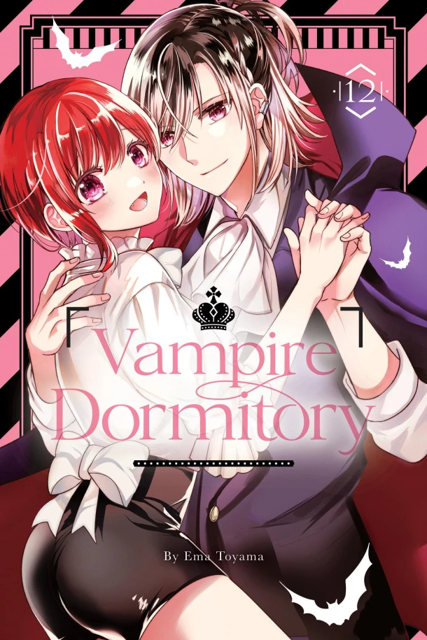 Vampire Dormitory 12 – Ema Toyama – boek cover