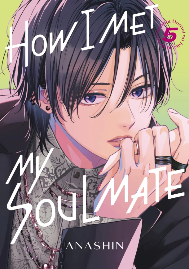 How I Met My Soulmate 5 – Anashin – boek cover