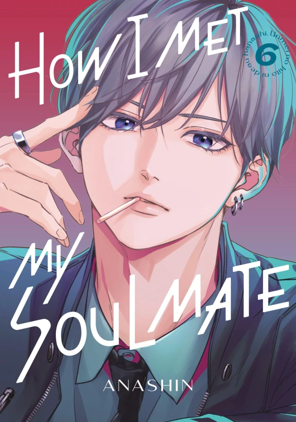 How I Met My Soulmate 6 – Anashin – boek cover