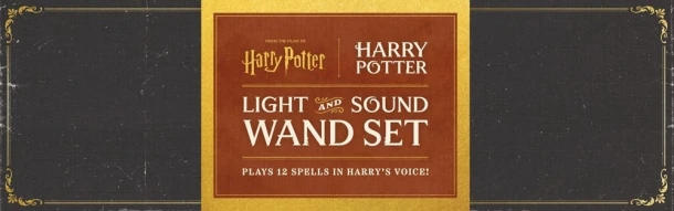 Harry Potter: Harry Potter Light and Sound Wand Set: Plays 12 Spells in Harry's Voice! – Donald Lemke – boek cover