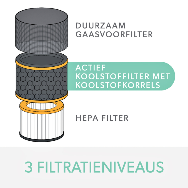 Filter Koolstof Allergie Leitz Trusens Z-3000