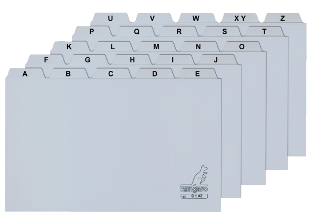Alfabetkaarten plastic 80mmx130mm (1 AZ); pkj