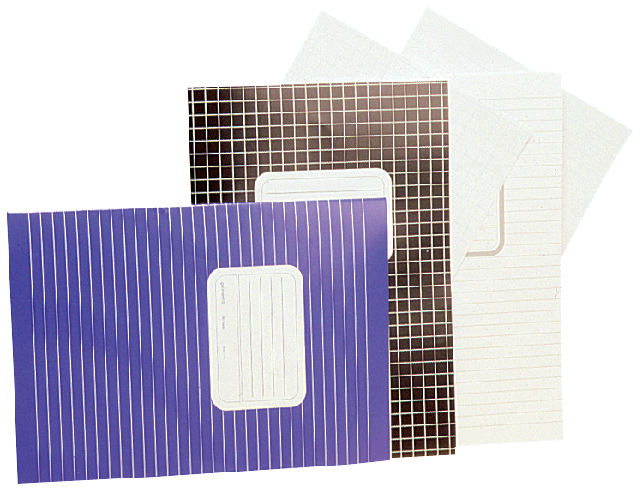 Schrift A4 Basic 5mm ruit 40-bladen, 70grams