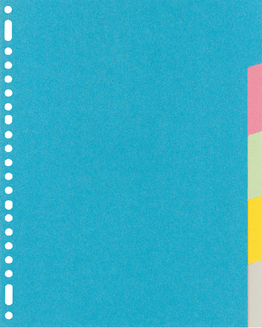 Tabblad Kangaro Ry405m A4 23r Kart 220gr 5dlg Recy