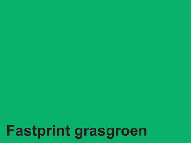 Kopieerpapier Quantore Colour A4 80gr grasgroen 500vel