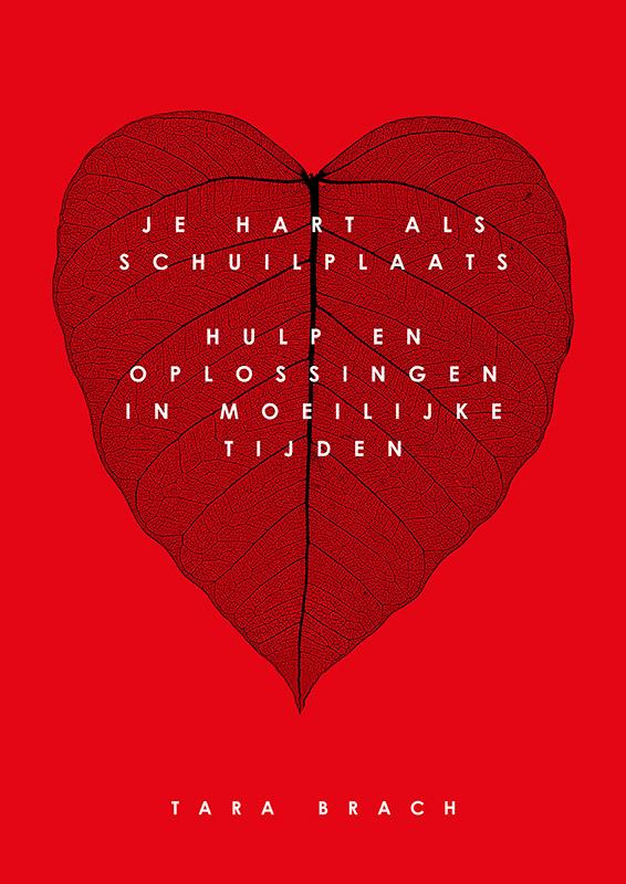Je hart als schuilplaats