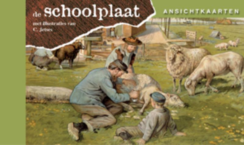 Ansichtkaarten, de Schoolplaat Het Volle Leven