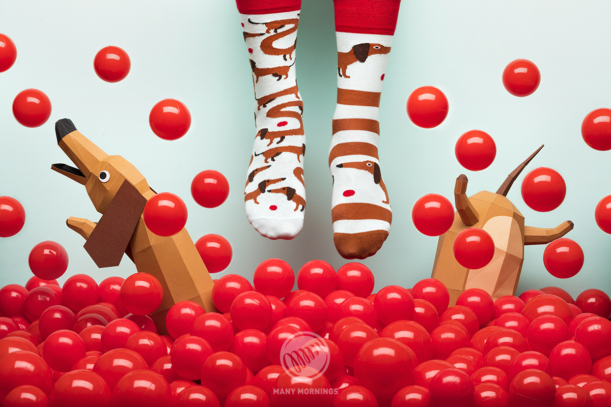 SOKKEN SAUSAGE DOG-43-46