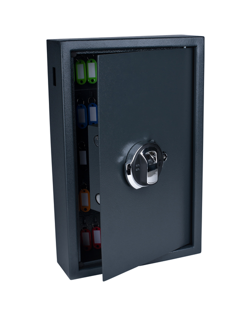 Sleutelkast Pavo Fingerprint 50 Haken Donkergrijs