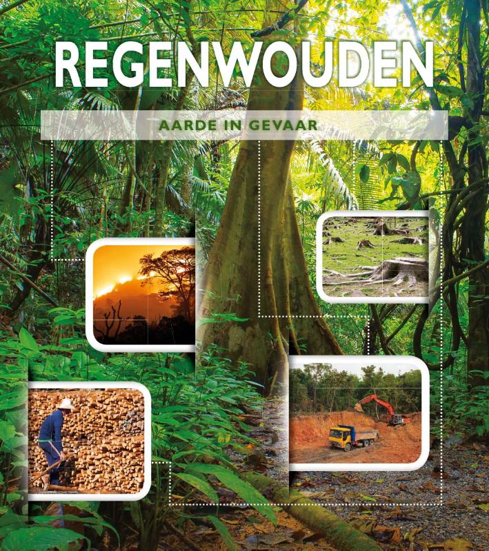 Regenwouden