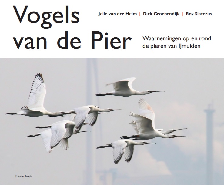 Vogels van de Pier