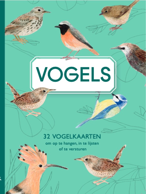 Vogel Kaartenboekje