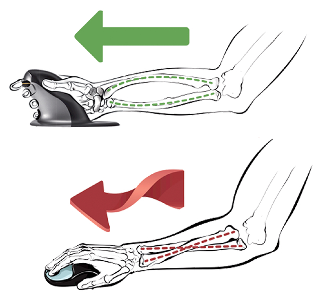 Ergonomische Muis Fellowes Puinguin Draadloos Med.