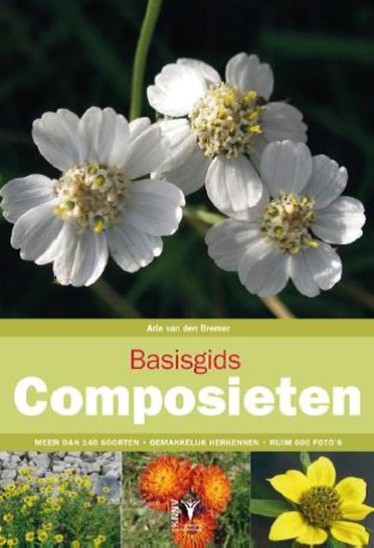 Basisgids composieten