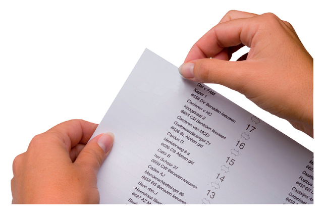 Indicatie Ruiterstroken Jalema Jockey 100mm 50v