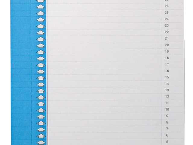 Ruiterstroken Qblique 410954 blauw/wit; pkj 10vel