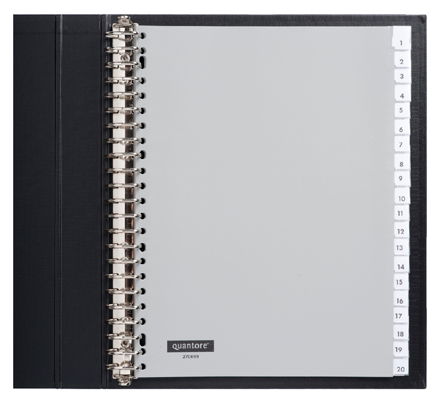 Tabbladen Quantore 23R 20-dlg plastic G420FM