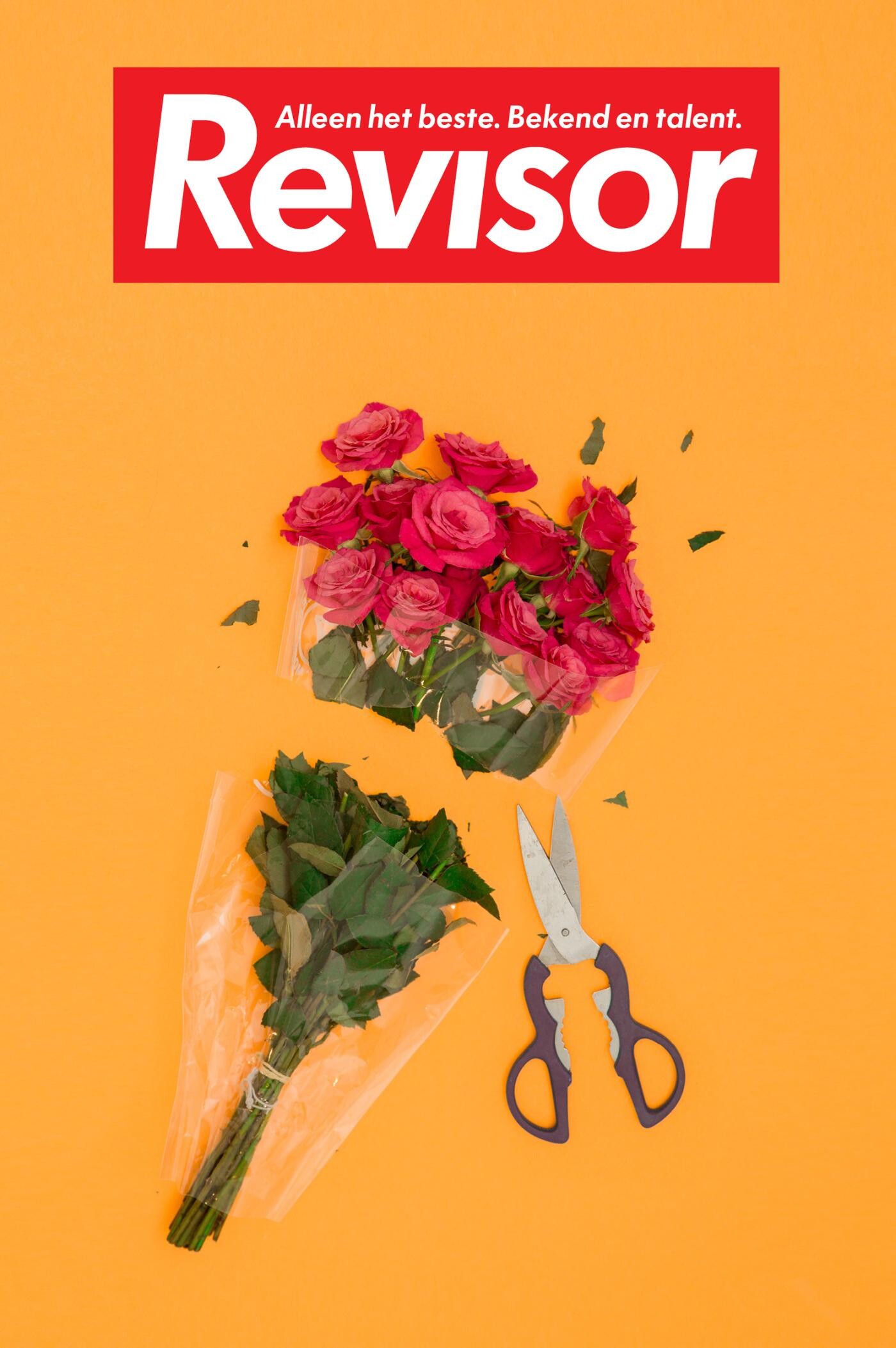Revisor 19