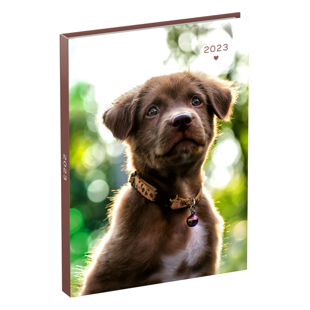 Agenda 2023 110x150 Mff 7d/2p Puppie Met Halsband
