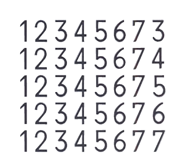 Numeroteur Reiner B2, 6-radar 5.5mm 13043