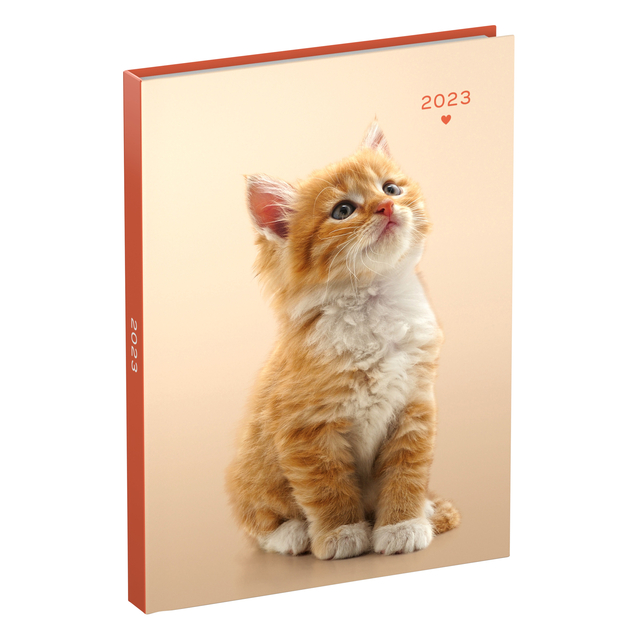 Agenda 2023 110x150 Mff 7d/2p 1 Kitten
