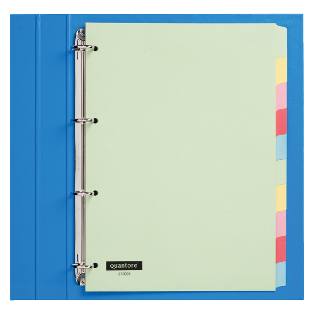 Tabbladen Quantore 4R 10-delig karton ass. kleur