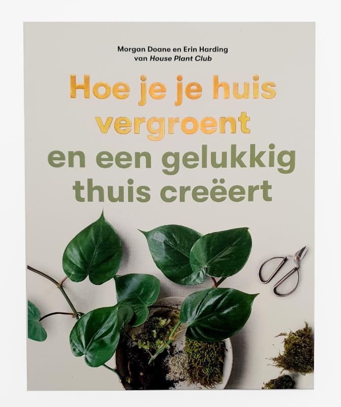 Hoe je je huis vergroent