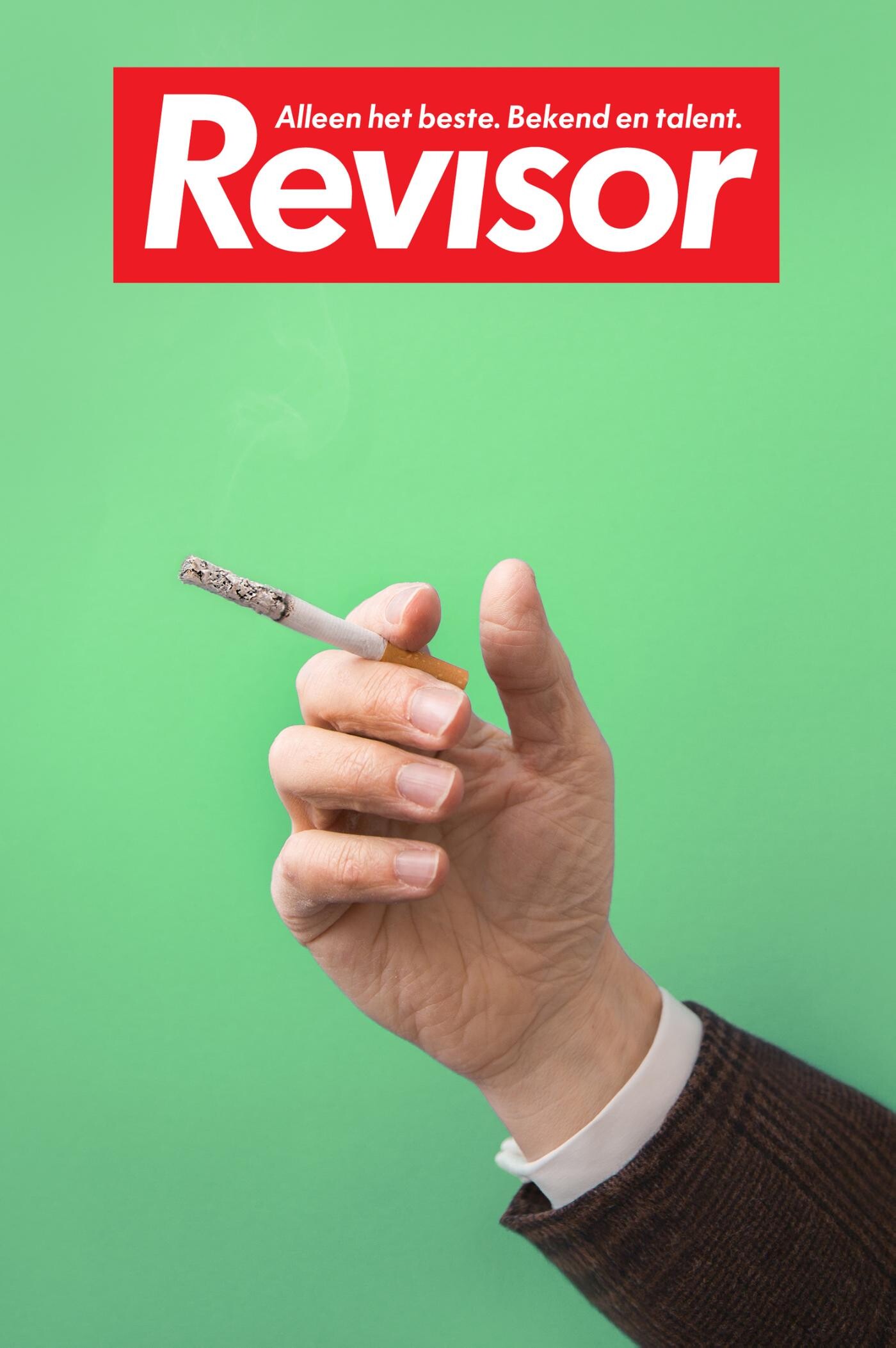 Revisor 20