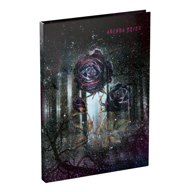 Pretty Weird Schoolagenda Nl 150x220 Mm