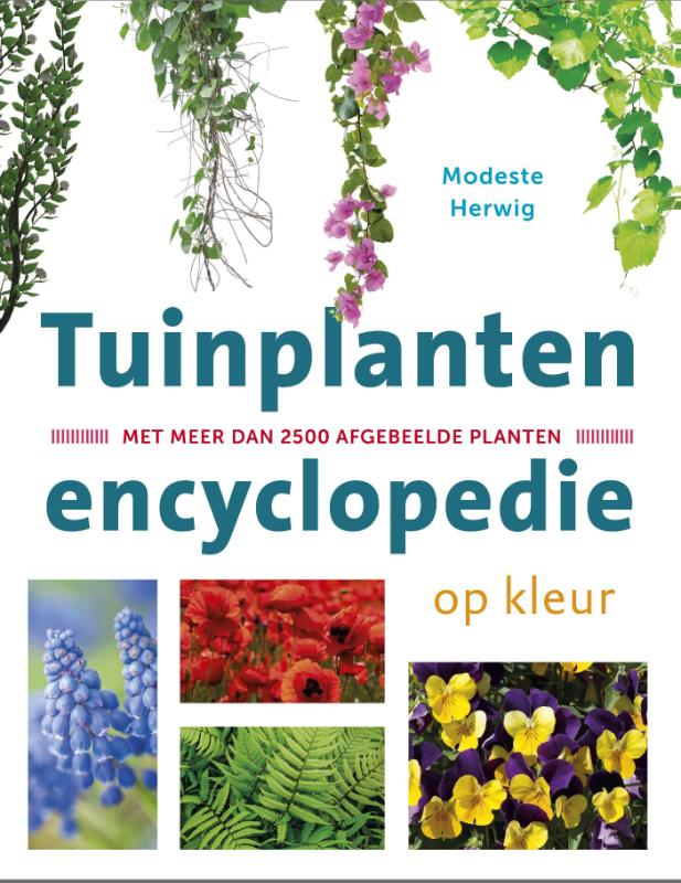 Tuinplantenencyclopedie op kleur