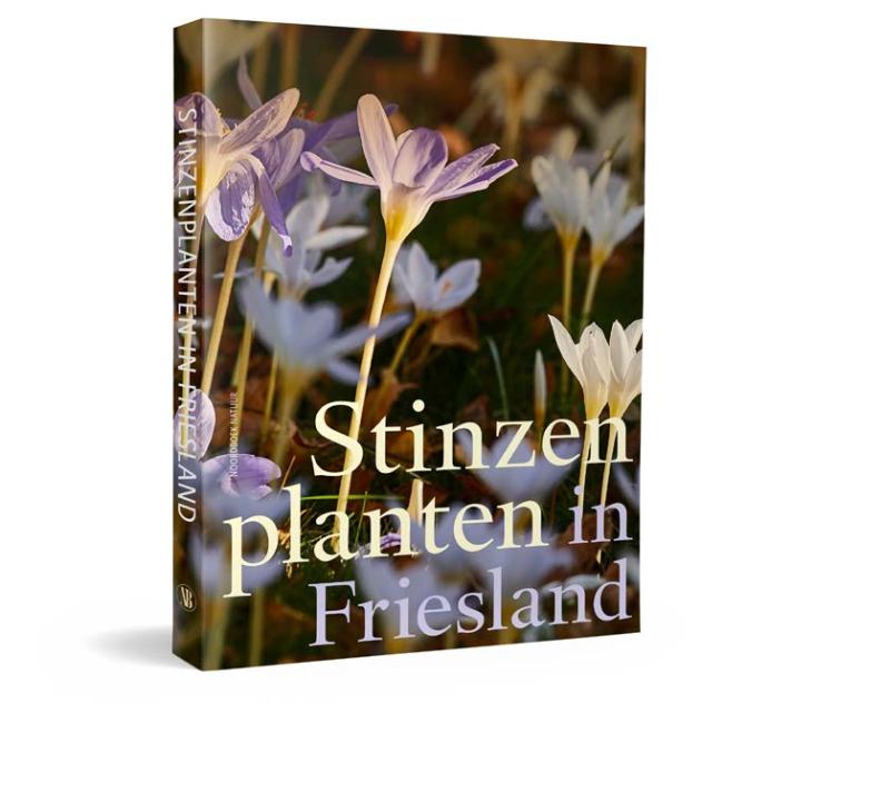 Stinzenplanten in Friesland