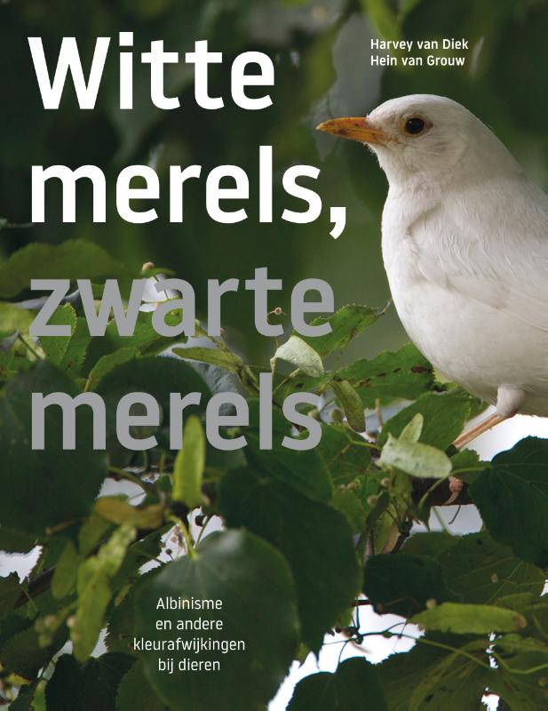 Witte merels, zwarte merels