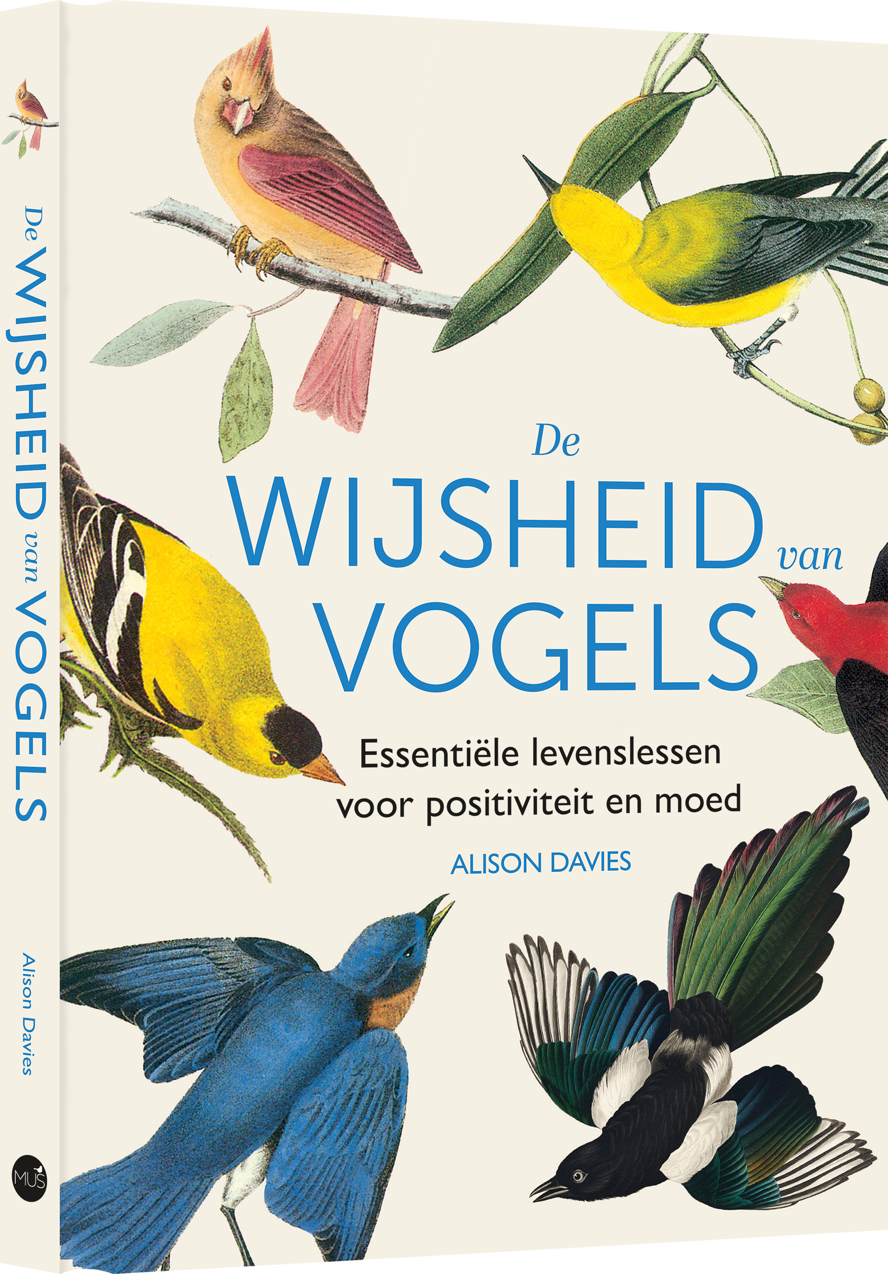 De wijsheid van vogels