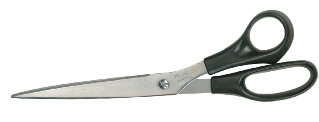 Schaar Quantore 25cm met kunststof handgreep