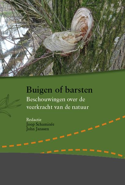 Buigen of barsten