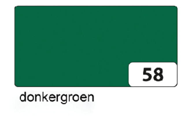 Fotokarton Folia 2zijdig 50x70cm 300gr nr58 donkergroen