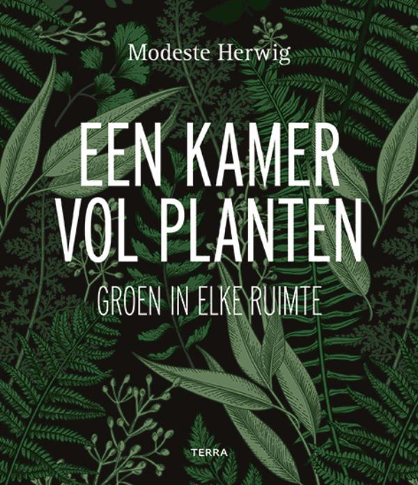Een kamer vol planten