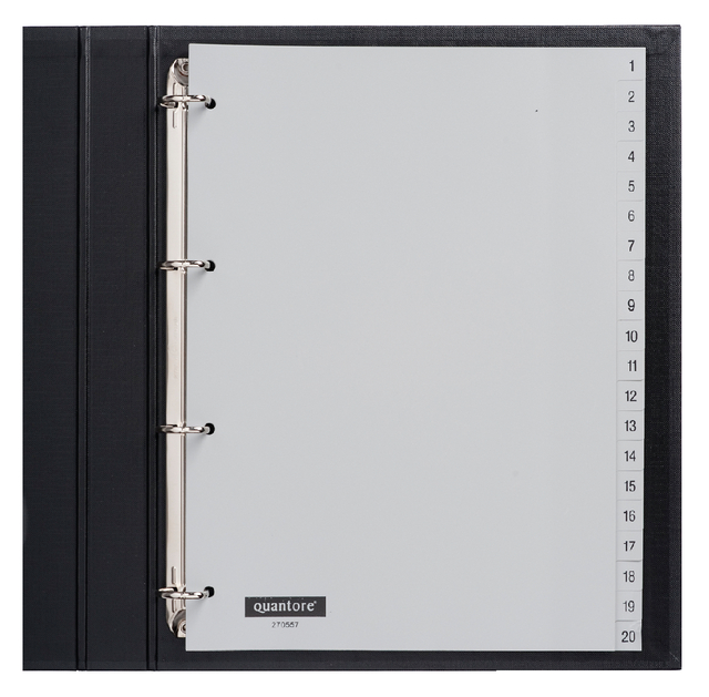 Tabbladen Quantore 4R 1 t/m 20 plastic G420C