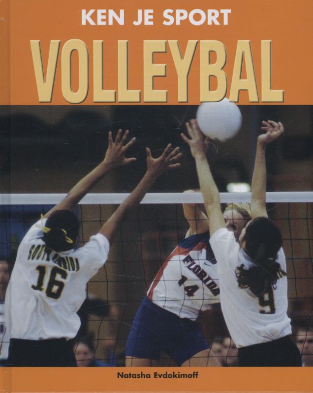 Volleybal