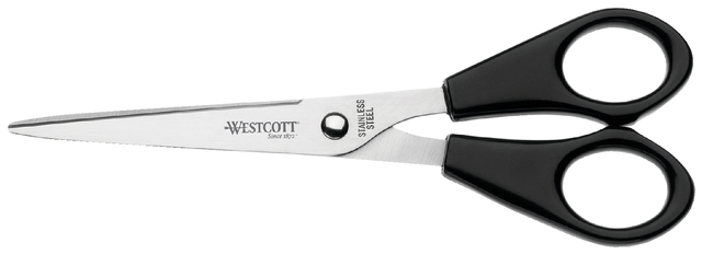 Schaar Westcott 15.5cm RVS kunststof grip (31160)