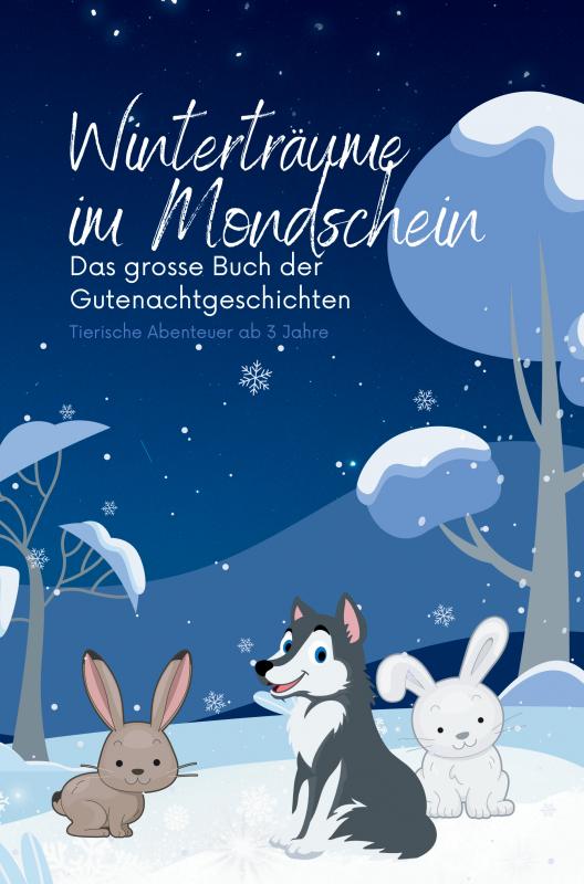 Winterträume im Mondschein