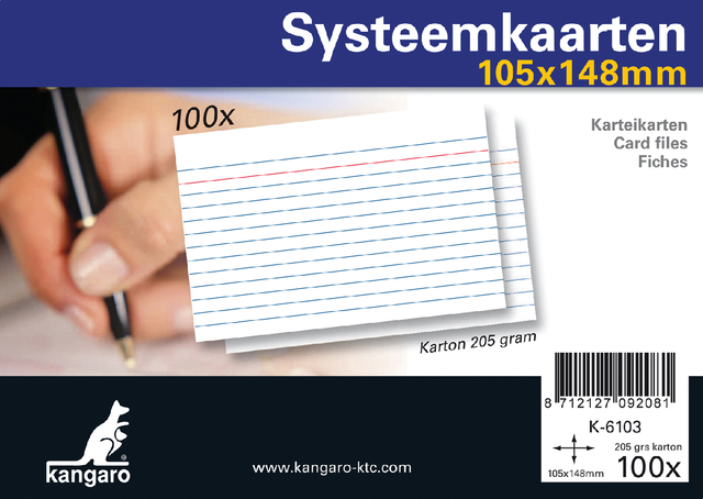 Systeemkaarten 105x148mm; (A6) pak 100 Stuks