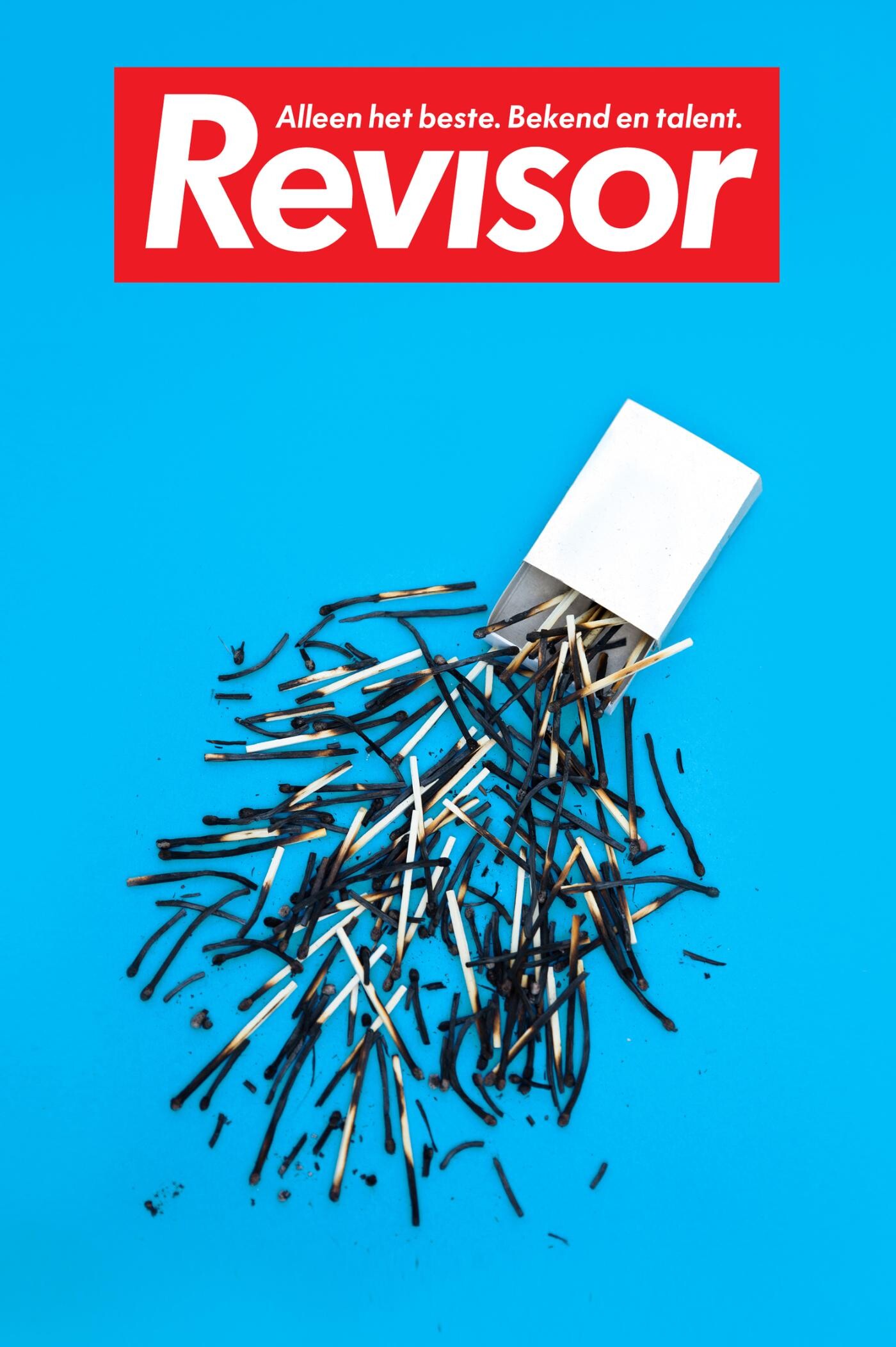 Revisor 18