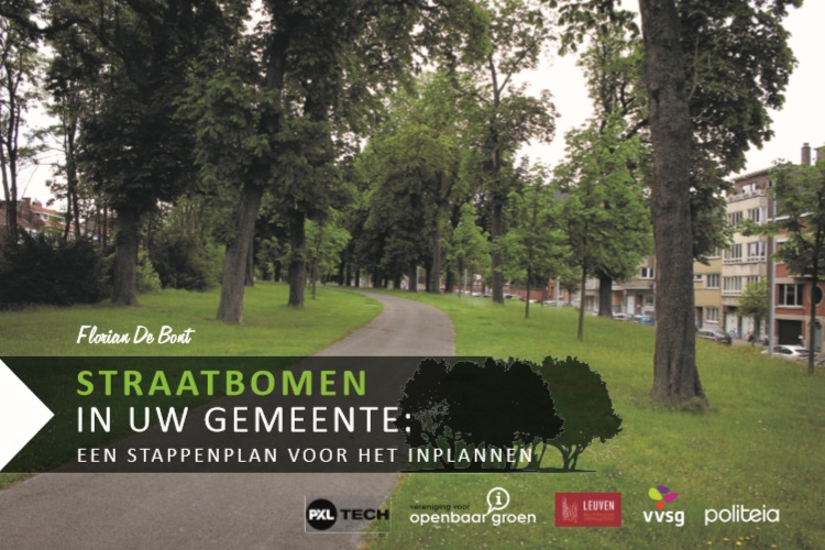Straatbomen in uw gemeente:
