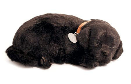 Knuffel Perfect Petzzz - soft hond Black Lab