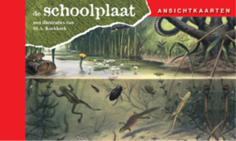 Ansichtkaarten, de Schoolplaat In Ons Land