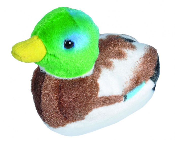 Pluche vogel met geluid - WILDE EEND