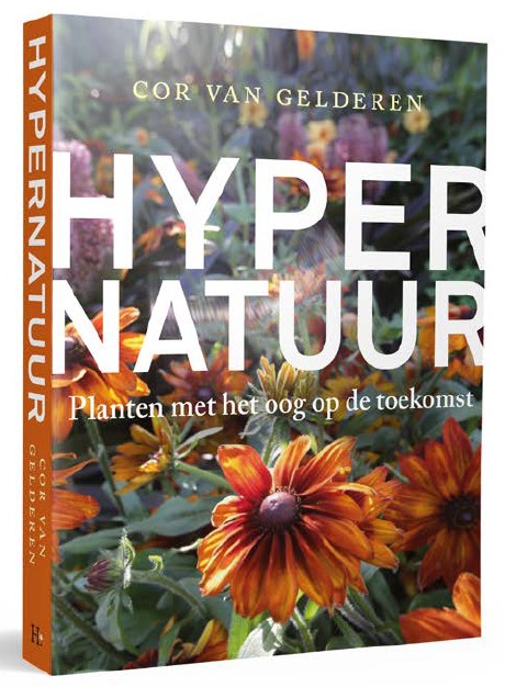 Hypernatuur