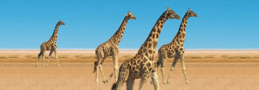 Boekenlegger Giraffe Family 3D