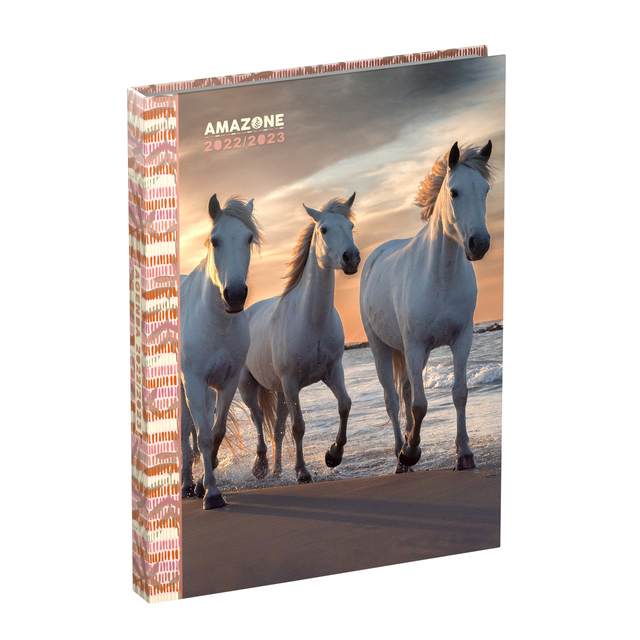 Amazone Schoolagenda Nl 130x175 Mm